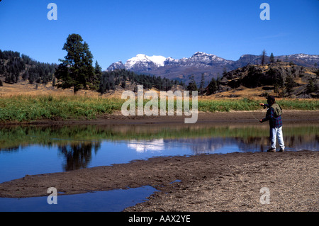 PF-83  FISHING FOR SLOUGH CK. CUTTHROAT TROUT Stock Photo