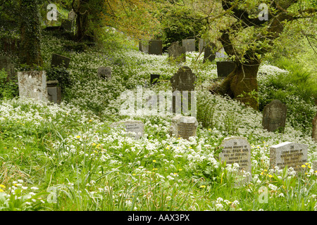 Minster church, Boscastle. Stock Photo