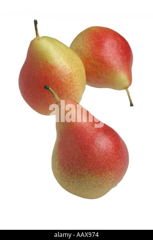 three Forelle pears on a white background Stock Photo