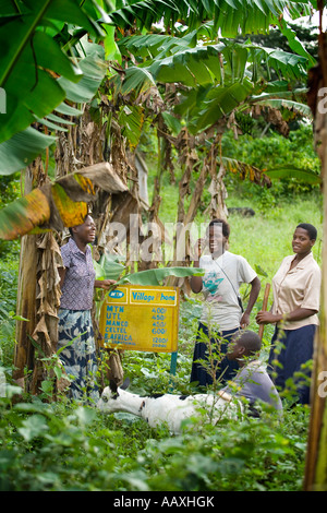 Village phones west of Kampala Uganda Stock Photo