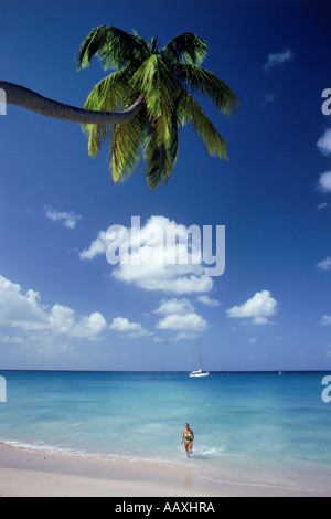 Woman leaving crystal clear blue Caribbean waters under tall palm tree in Barbados Stock Photo