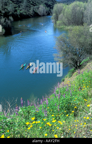 kayacking boats at Lake Berryessa California in springtime vertical Stock Photo