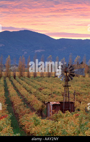 Old classic Windmill in Napa Valley wine grape Vineyards at sunset vertical Stock Photo
