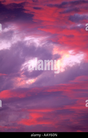 Clouds in Shades of brilliant Pink and Purple Sky Skies Sunset vertical Stock Photo