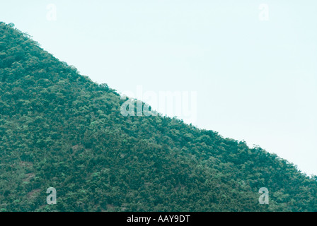 19 04 07 Sabang Palawan Philippines Photo Simon Grosset Stock Photo