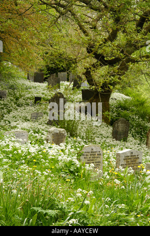 Minster church, Boscastle. Stock Photo