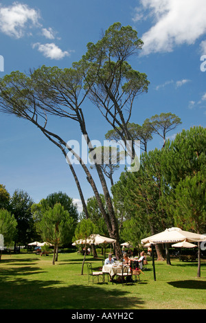 south africa Boschendahl winery founded by hugenots picnic in the wonderful garden under trees Stock Photo