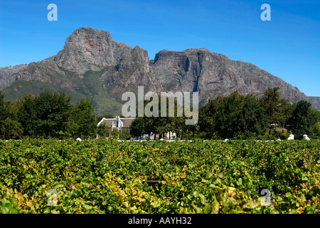 south africa Boschendahl winery founded by hugenots  Stock Photo