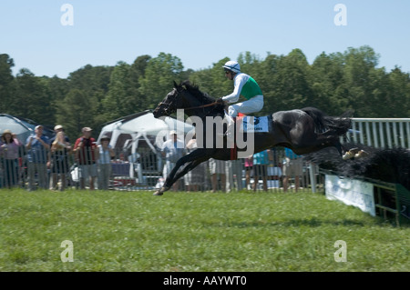 Horse jumping fence with a rider during a race 2006 North Carolina USA Stock Photo