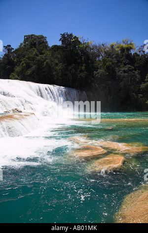 Cascada Agua Azul, Agua Azul Waterfall, Parque Nacional Agua Azul, near Palenque, Chiapas, Mexico Stock Photo