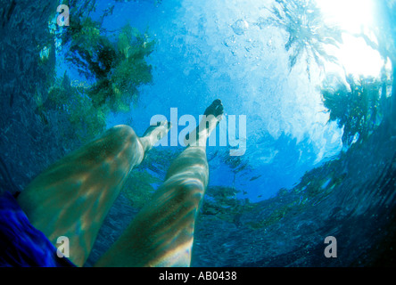 Upward view of legs from underwater Model released image Stock Photo