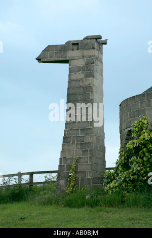 The Camel Folly also known as the Ivy Folly, Milland, West Sussex, England, built by artist Gerald Scarfe Stock Photo