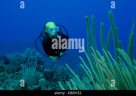 Scuba Diver wearing a bandana and beside gorgonians on a reef in Cayman Brac Stock Photo