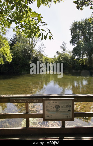 Sherbourne Pond next to Silent Pool near Guildford Surrey England UK Stock Photo