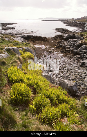 isle of berneray western isles west coast fine sandy beach scotland ...