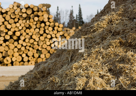 WOOD CHIPS FROM THE DEBARKER WITH PILED LOGS BEHIND Stock Photo