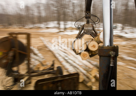 View from the loader cab slashing logs to length Stock Photo
