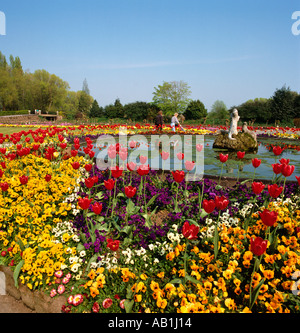 Cheshire Chester Zoo gardens floral bed in springtime Stock Photo