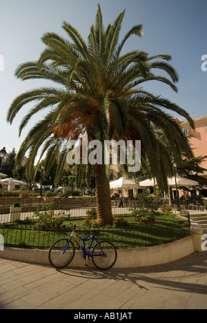 Corfu old town palm tree and bicycle Stock Photo