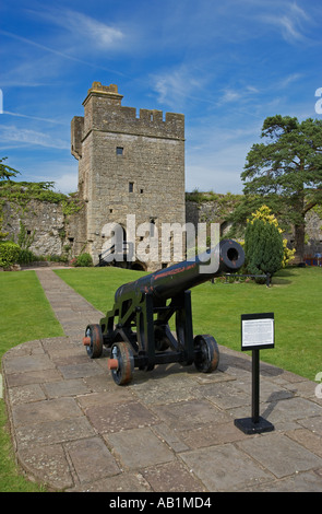 Naval Cannon from HMS Foudroyant, at Caldicot Castle, South Wales, UK Stock Photo