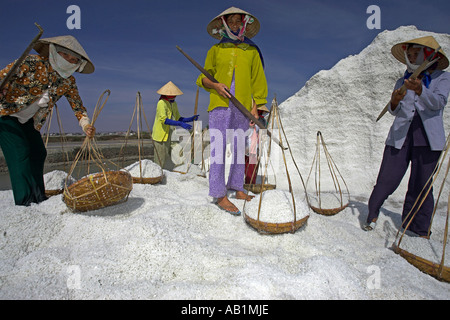 Women in conical hats deliver pannier baskets of salt to mound at salt ponds Phan Thiet Vietnam Stock Photo