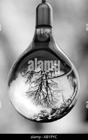 Glass Bulb Reflection Longleat Wiltshire United Kingdom Stock Photo