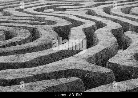 Maze Abstract Longleat Wiltshire United Kingdom Stock Photo