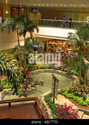 Attractive Orchid Garden and Koi Pond in Changi Singapore International Airport Stock Photo