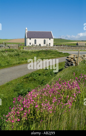dh Bay of Skaill SANDWICK ORKNEY SCOTLAND White washed church Red Campion flowers springtime countryside