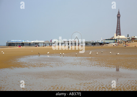 Blackpool Beach, Central Pier and Tower, Lancashire Stock Photo