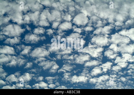 Beautiful Altocumulus Cloud Formation over Alsager in Cheshire England United Kingdom UK Stock Photo