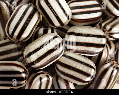 LOTS OF THE SWEET HUMBUGS Stock Photo