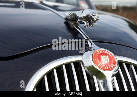 detail of the jaguar on the bonnet classic car show tatton park cheshire england uk Stock Photo