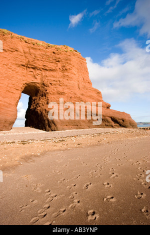 Langstone Rock, Dawlish, Devon Stock Photo