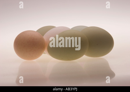 Multi Coloured Easter Eggs on a plain background Stock Photo