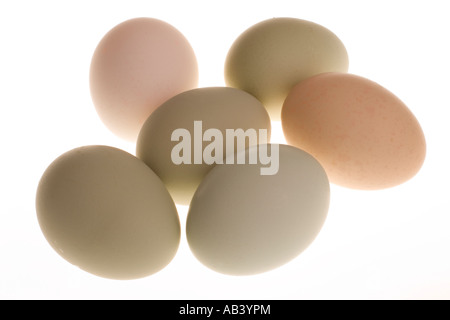Multi Coloured Easter Eggs on a plain background Stock Photo