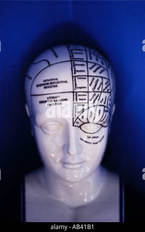 Porcelain Phrenology Head. Intellegence and Emotion Concept Stock Photo