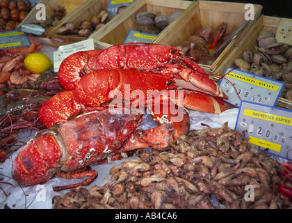 Seafood Display Trouville Calvados Normandy France Stock Photo