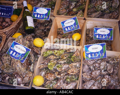 Boxes of Oysters Trouville Calvados Normandy France Stock Photo