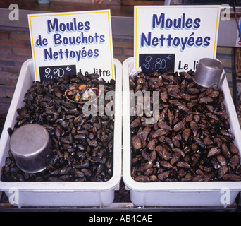 Trays of Mussels Trouville Calvados Normandy France Stock Photo