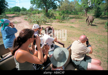 Tourists taking photographs and game viewing elephants from a 4wd vehicle.. Stock Photo