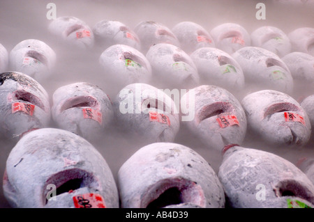 Frozen tuna laid out at the Tokyo fish market at Tsukiji Japan Stock ...