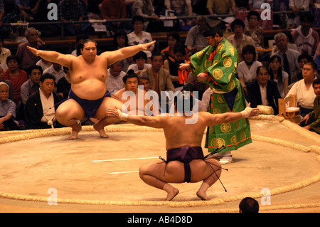 Sumo wrestlers during a  sumo tournament in Nagoya, Japan Stock Photo