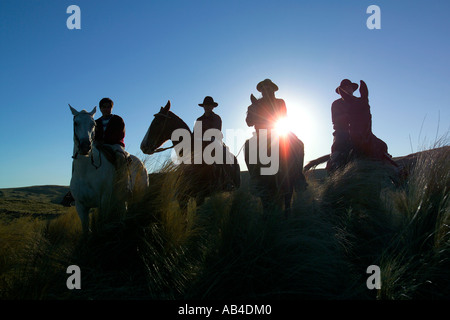 Four local gauchos and their horses silhouetted against the setting sun. Stock Photo