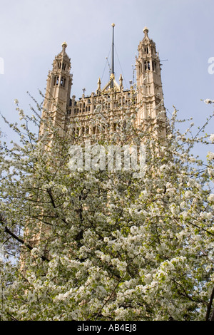 Victoria Tower, the south-western corner of the Palace of Westminster, in early spring, London, England, Europe. Stock Photo