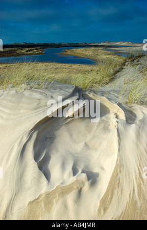 Sand Dunes at Raabjerg mile, Skagen, Denmark Stock Photo