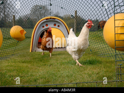 THE OMLET EGLU CHICKEN HOUSE UK 2007 Stock Photo