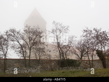 Bratislava Castle in the mist Stock Photo