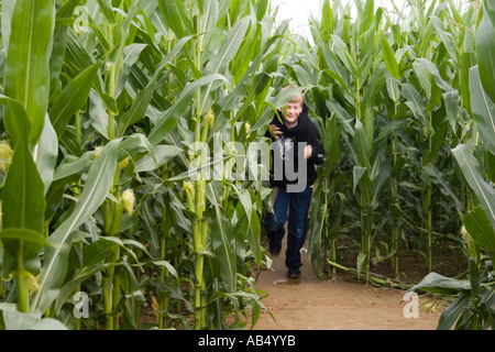 Maize Maze at Metton Norfolk UK Stock Photo