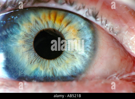 blue eye close up macro foto eye wide open see light sight inside body Stock Photo